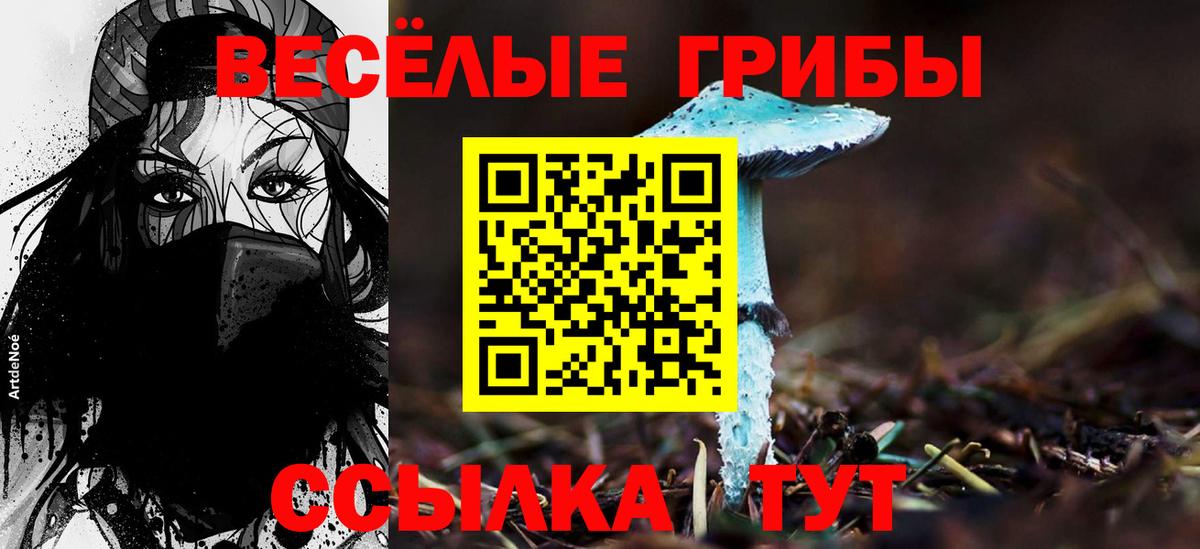 Кулебаки  Псилоцибиновые грибы Magic Shrooms  Вход с VPN 